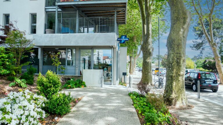 clinique vétérinaire du boudigau à capbreton